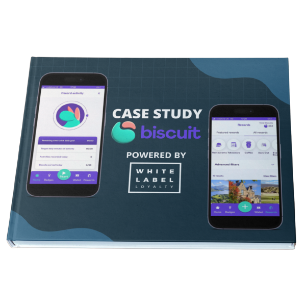 Biscuit case study PDF