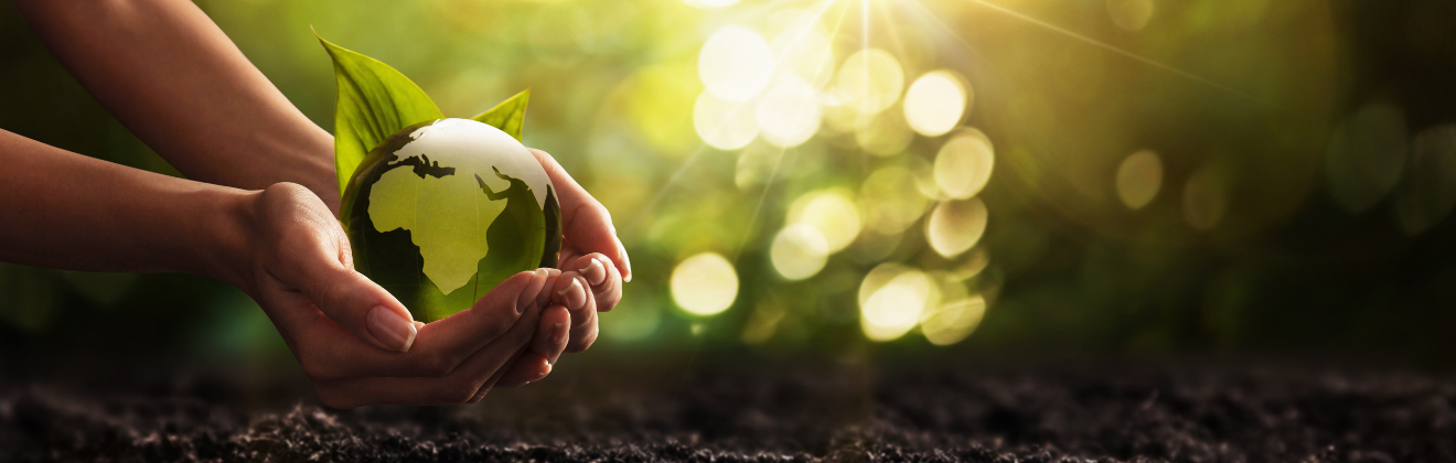 World Environment Day and Green Marketing: Why You Need To Start Adapting Today