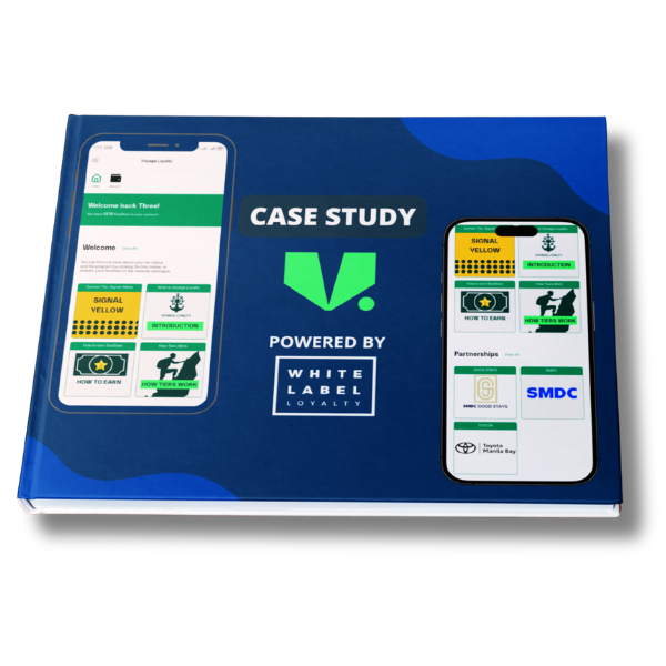 V.Ships case study PDF
