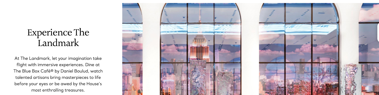 Tiffany & Co. Blue Box Experiences loyalty program with private shopping events, bespoke services, and early access to luxury jewelry collections.