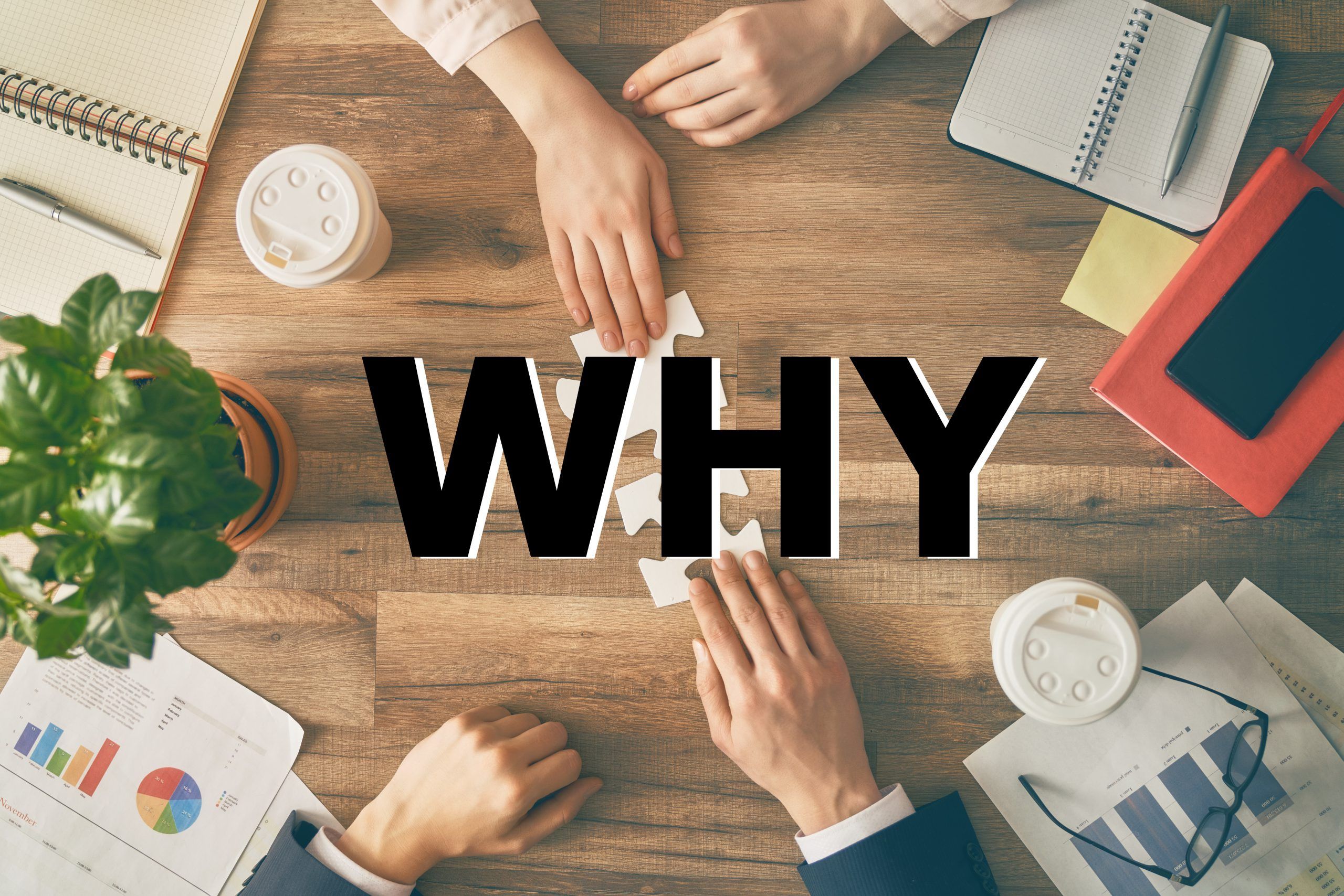 Customer Loyalty: Asking Why